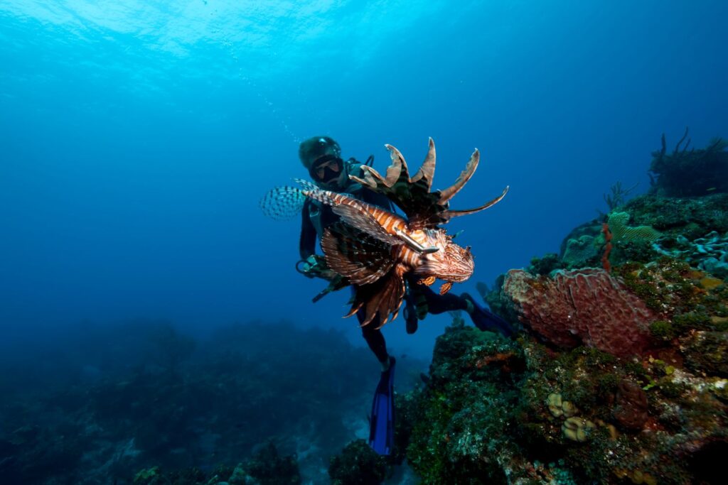diver-and-invasive-species