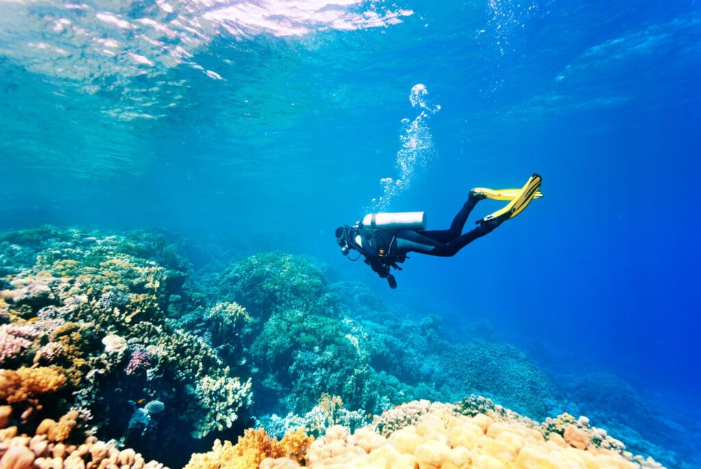 Bali Scuba Diving