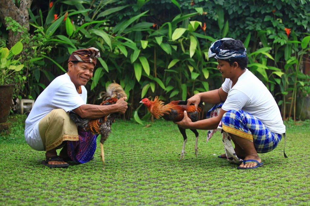 Animals In Bali