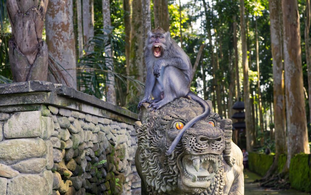 Animals In Bali