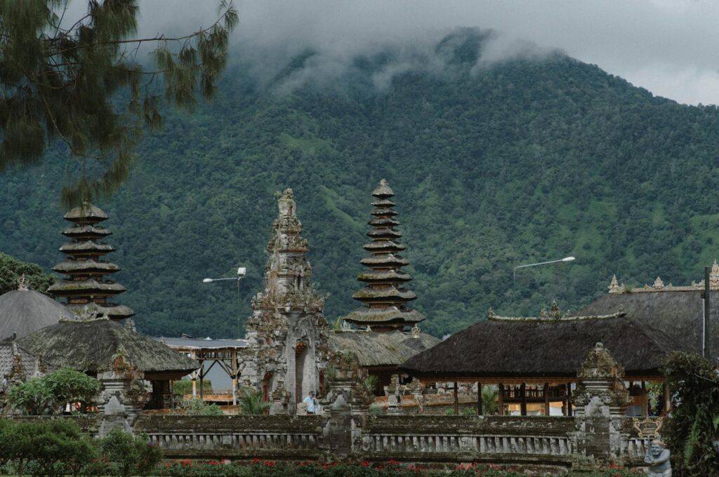 Monkey Forest Bali