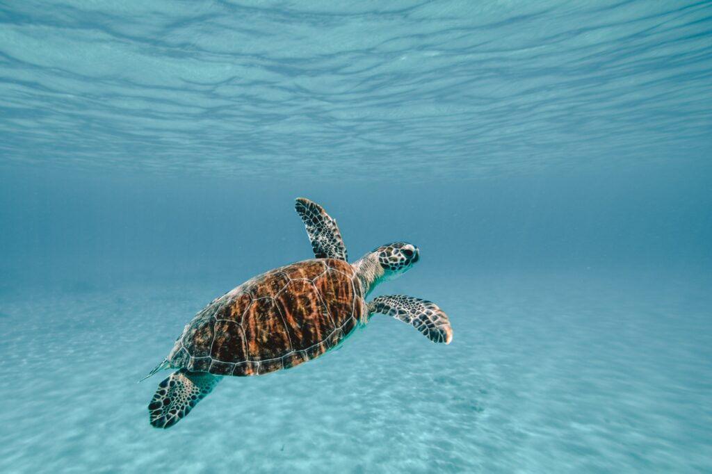 The Gili Islands